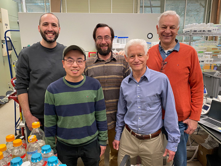 Members of the team that worked on the project include, from left, principal investigator Juan Debernardi, paper co-authors Chaozhong Zhang and Joshua Hegarty, staff researcher David Tricoli, and renowned wheat geneticist Jorge Dubcovsky. (Trina Kleist/UC Davis)