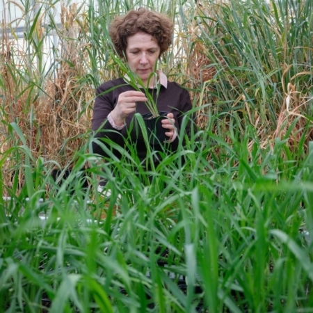 Dr Joanne Russell, The James Hutton Institute.