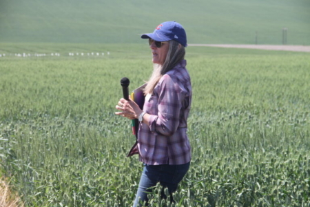 Inheritor of a 90-year tradition of USDA breeding work at Pullman, ARS scientist Kim Garland-Campell is the world’s preeminent club wheat breeder. Above, she presents at Lind Field Day.
