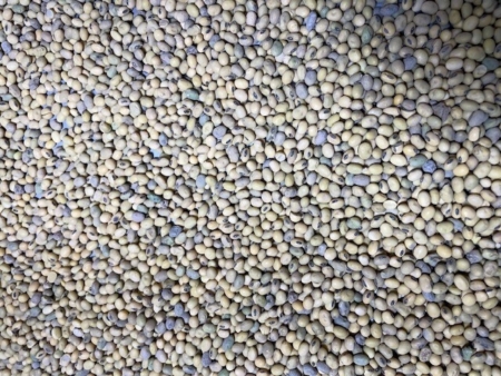 Cleanout seed is sorted out when ran across the rotary spirals that were added to the production line.