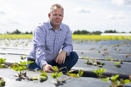 Nathan Boyd, a weed scientist and professor of horticultural sciences at the UF/IFAS Gulf Coast Research and Education Center, is shown among rows of plastic mulch at a research field at the center. Boyd and his colleagues use an AI precision sprayer to kill weeds – and not the crops near the weeds. (Courtesy, Nathan Boyd, UF/IFAS)