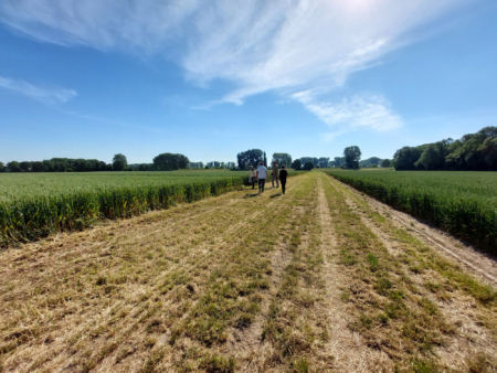 BASF shared the first results of its multi-year Global Carbon Field Trials, which demonstrate that it is possible to reduce greenhouse gas emissions in agriculture by up to 30 percent compared to standard farming approaches. The picture shows BASF employees on a trial field for wheat in Rhineland-Palatinate, Germany. (BASF SE)