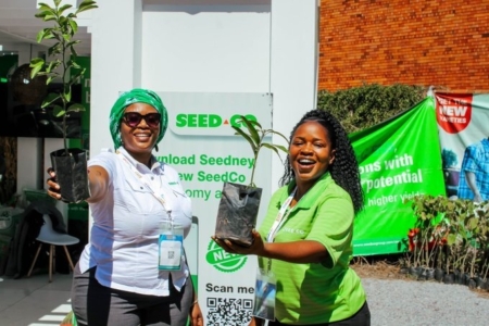 Seed Co. Ltd. produces various products for Zimbabwe’s seed market.