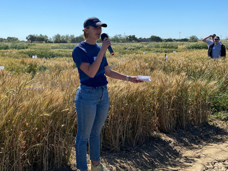 Maya Shydlowski, of the UC Davis Department of Plant Sciences, explains the water efficiency measurements she is taking in grain trials that will help growers meet California groundwater regulations. (Trina Kleist/UC Davis)
