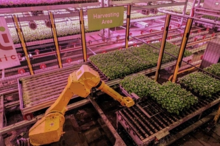 (Courtesy of Soli Organic)