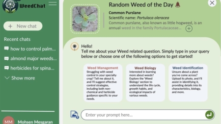 A mockup of what WeedChat would look like. (Mohsen Mesgaran / UC Davis)