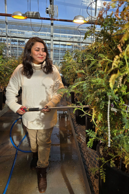 Dr. Tamanna Jahan (PhD) waters plants in one of the USask greenhouses. (Photo: Matt Olson)