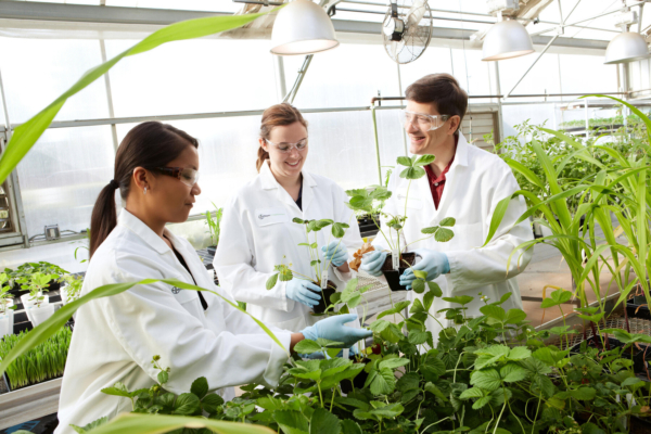 Within the new Golden Ticket program of Bayer, Genvor to receive fully funded access to lab space and equipment. (Bayer AG)
