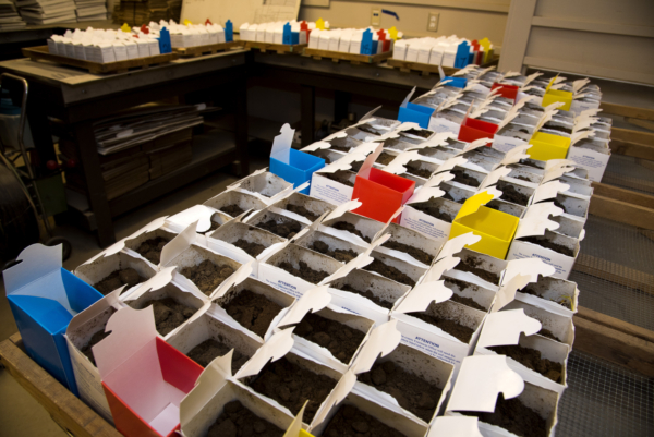 Soil samples at the Marianna Soil Test Lab are prepared for testing. (U of A System Division of Agriculture photo)
