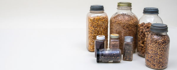 Various seeds and grains from the archive are used for teaching students. (Photo by Jordan Murphy)