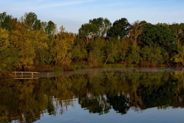 As part of the Department of Energy’s Billion-Ton Report, Lixia Lambert, assistant professor in the OSU Department of Agricultural Economics, has spearheaded the creation of a modeling tool to analyze the potential of forest biomass resources in the U.S. (Photo by Mitchell Alcala, OSU Agriculture)