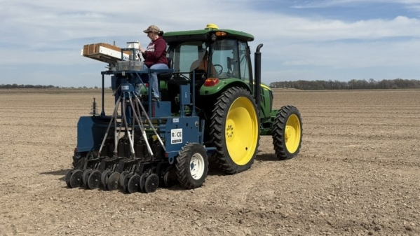 First rice planting date study was planted March 18 at the Rice Research and Extension Center in Stuttgart. Typically the late March to early April planting window results in the highest grain yields at this location. (Photo by Jarrod Hardke)