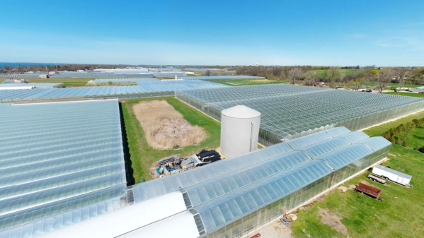 The Innovation Hub will provide early access to top-performing varieties and locally adapted solutions designed to support growers across the region.