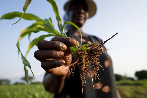 (Photo credit: Gates Ag One)