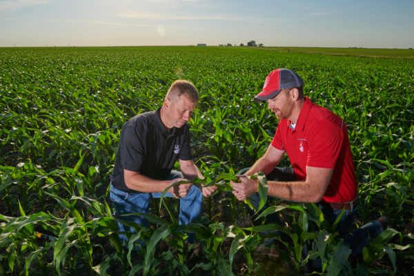 LG Seeds agronomist Jed Norman (right) encourages farmers to think through harvest goals when planning planting order but recognize field conditions can force plans to change.