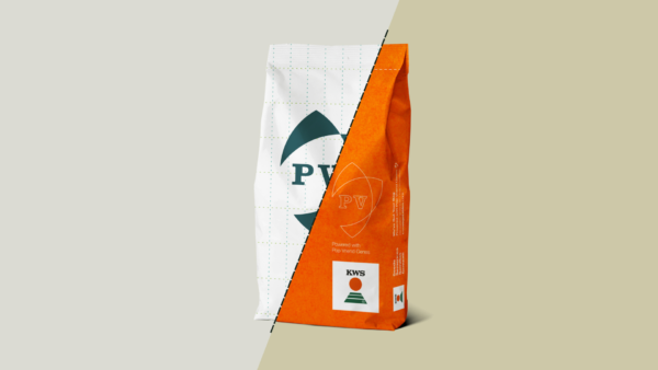 Seed specialist KWS announces that subsidiary Pop Vriend Seeds (PV) will officially change its name to KWS Vegetables Netherlands B.V. as of October 1, 2024. (KWS)