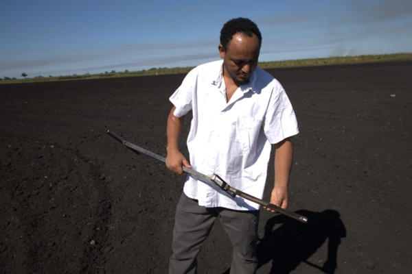 Niguss Solomon Hailegnaw, UF/IFAS EREC assistant professor and Everglades Soil Testing Lab director, examines muck soil in the Everglades Agricultural Area. (Avery Harrison/ UF/IFAS EREC)