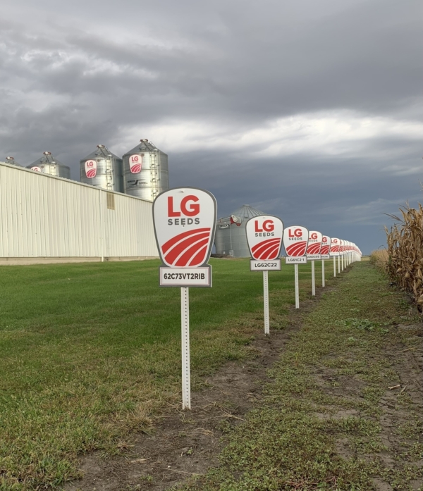 With LG Seeds’ PCR trials, corn seed products benefit from a few more years of testing before they are distributed to growers. Any seed that makes the LG Seeds bag has been proven in these trials.