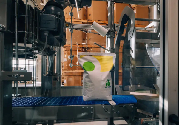 Advanced sorting techniques involving visual inspection cameras ensure that only the best seeds are selected for packaging.