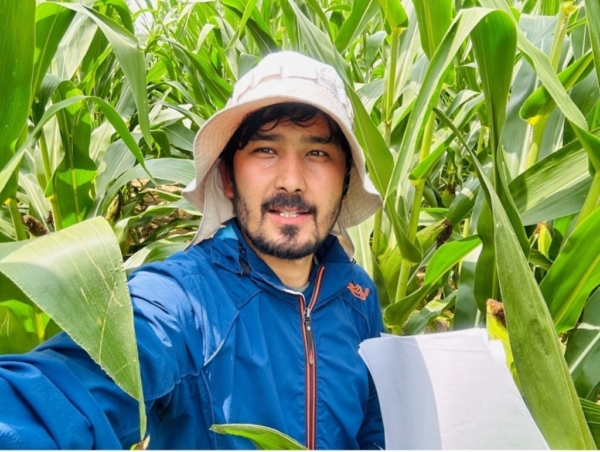 Kamal Chhetri rating disease severity in corn during the summer of 2024. (Courtesy of Kamal Chhetri)