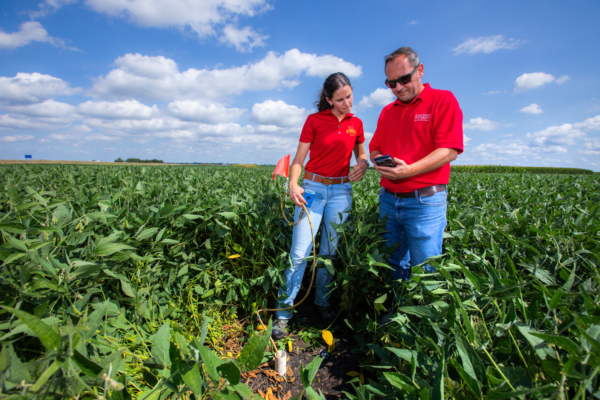 Graduate student Carolina Freitas, left, and agronomy professor Sotirios Archontoulis use a probe to measure subsurface moisture in one of their experimental plots of soybeans at the Ag Engineering and Agronomy Research Farm near Boone. (Christopher Gannon/Iowa State University)