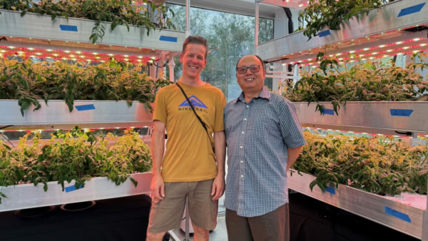 Changbin Chen (right) stands in front of trials of the "Desert Dew" tomato conducted at Biosphere 2. With him is Kai Staats, research director for the Space and Mars Program at BioSpere 2.