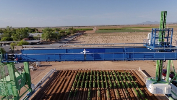 Molly Edwards stands atop the world's largest plant phenotyping robot at the Maricopa Agricultural Research Center in Arizona.