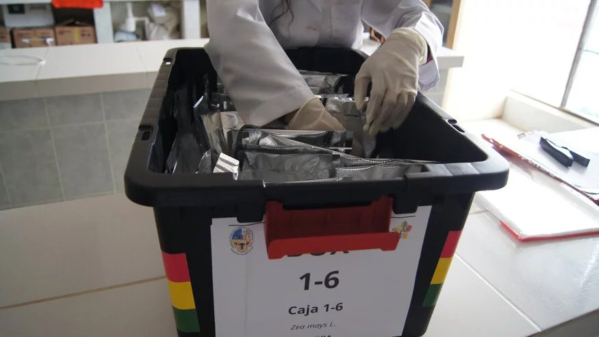 The first deposit from Bolivia is readied by the Universidad Mayor Real y Pontificia de San Francisco Xavier de Chuquisaca in Sucre and contains landraces of significance for local Indigenous Peoples.