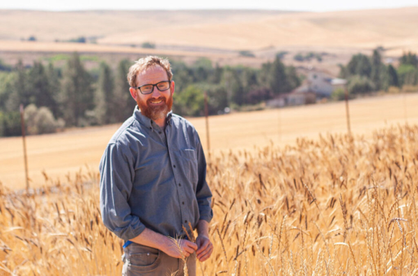 Bringing more than two decades of experience breeding healthy, nutritious crops, Kevin Murphy will direct the WSU Breadlab as the next Clif Bar and King Arthur Baking Company Endowed Chair in Organic Grain Breeding and Innovation.