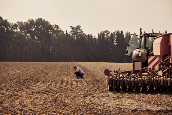 Farmer investigating field during rye sowing. (KWS)