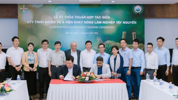 Bayer and WASI entered into a partnership to promote sustainable farming in the Central Highlands. (Bayer AG)