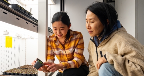 Associate professor Gyeong Mee Yoon, and PhD candidate Yuan-Chi Chien, both in the department of botany and plant pathology, observe a young Arabidopsis plant in a growth chamber at Purdue University. (Purdue University/Joshua Clark)