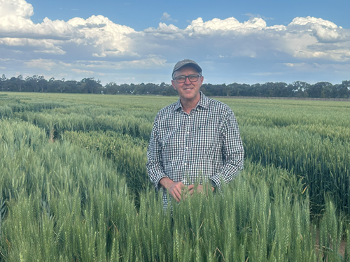 Dr Greg Rebetzke. Photo credit: CSIRO.