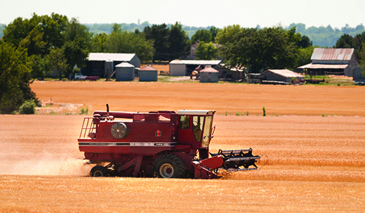 A poor wheat harvest in Pennsylvania has flour mills looking outside the region to source grain.