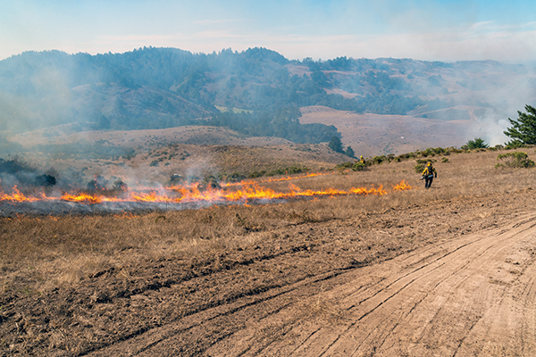 Wildfire in California.