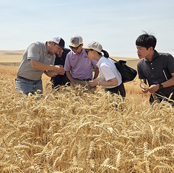 Photo credit: U.S. Wheat Associates.