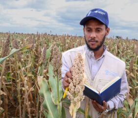 Africa Seed Systems.
Credit: FAO