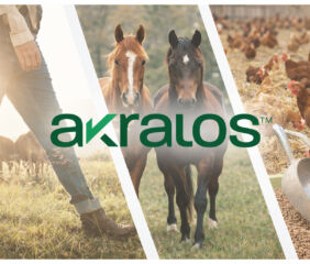 Image courtesy of Akralos.