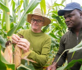 From left: Martin Bohn and Christopher Mujjabi. Image courtesy of the University of Illinois.
