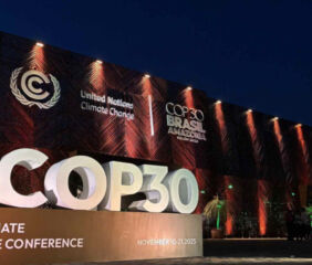 Image courtesy of the International Feed Industry Federation.