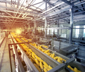 Moisture, chemicals, and organic materials make grain and oil facilities especially vulnerable to corrosion and contamination. Images courtesy of Sherwin-Williams