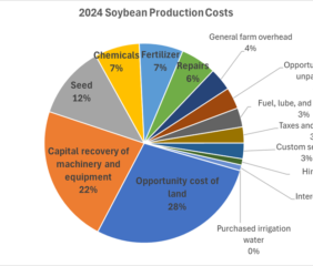 Image courtesy of the American Soybean Association (ASA).