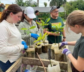 Luis Rodríguez and students working at a Caras con Causa mangrove nursery in Puerto Rico. Image courtesy of the University of Illinois.