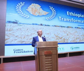 Ethiopia has transformed wheat sector. Credit: Ethiopian Transformation Institute.