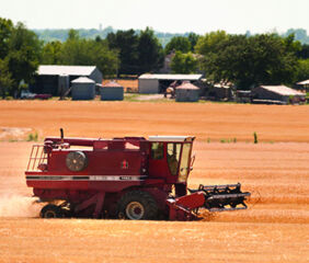 A poor wheat harvest in Pennsylvania has flour mills looking outside the region to source grain.