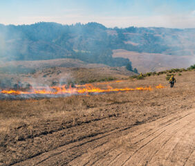 Wildfire in California.