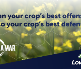 Photo credit: Nutrien Ag Solutions.