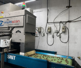 The Multiscan MXV-Bulk x-ray inspection system for nuts. Photo credit: WECO