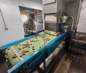 Payne's Pecans relies on WECO’s Multiscan MXV-Bulk X-ray system to identify hidden defects and dense foreign material. Photo credit: WECO.