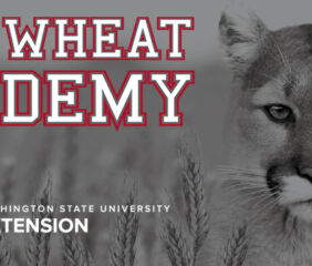 Image courtesy of Washington State University.